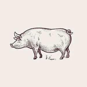Carnes
